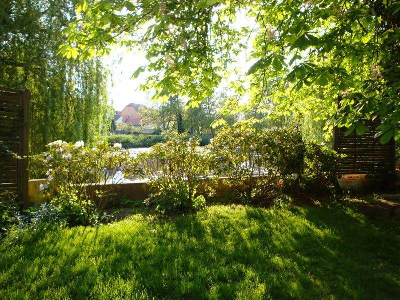 Maison d'hôtes Alsace - 4 chambres d'hôte - private Gästezimmer Elsass - private guest rooms Alsace Bischwiller Exterior foto